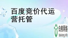 白熊网络：百度代运营领域的领航者，助力广告